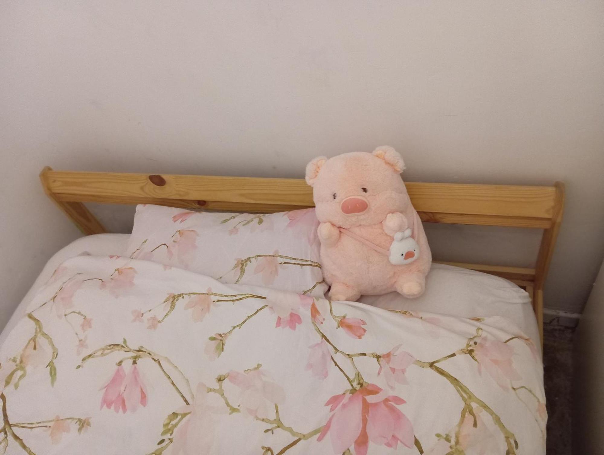 B&B Eco Cubes Мадрид Экстерьер фото